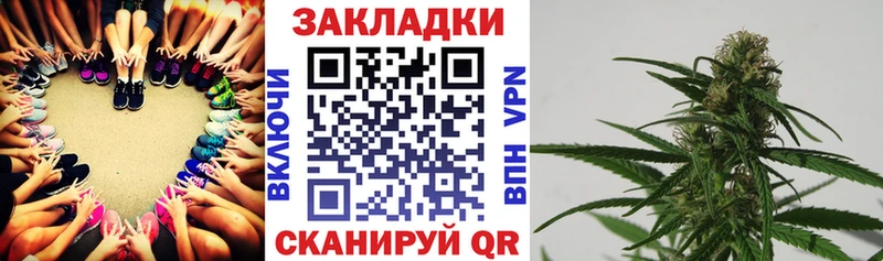 Виды наркотиков купить Курчалой Cocaine  СОЛЬ  ГАШИШ  АМФ  Мефедрон 