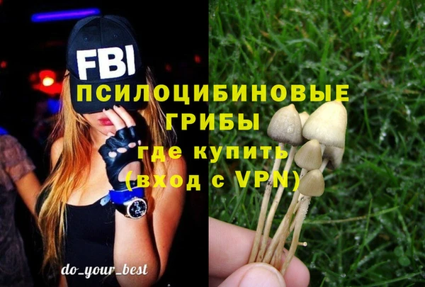 mix Пересвет