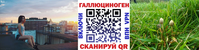 наркота  Курчалой  Псилоцибиновые грибы мицелий 